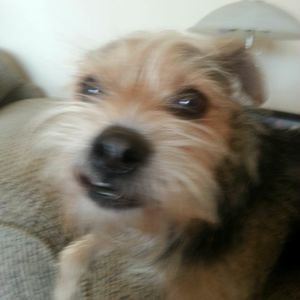 Meet your Posher, La